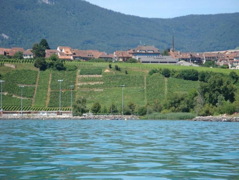 Hotel Restaurant Le Chalet Cortaillod Exterior foto